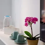 Conte Binario Uno Bed & Breakfast Naples